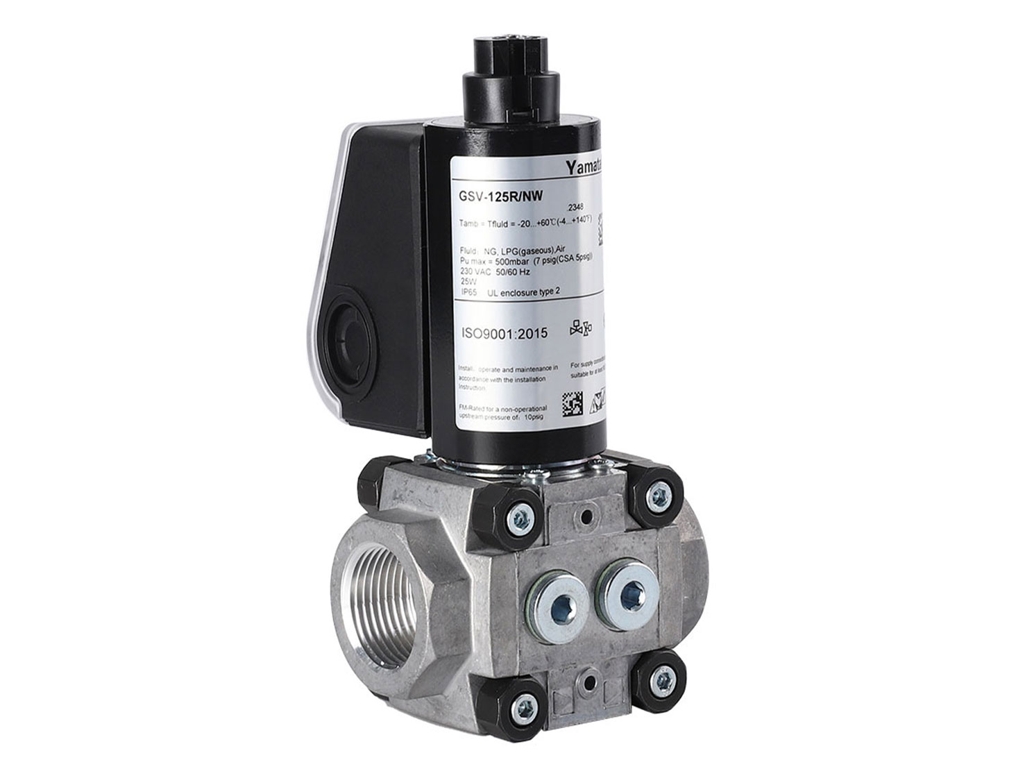 GSV-125R/NW (1)